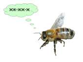 img46.jpeg