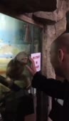 16100924082000.webm