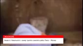 Очковый ревун.webm