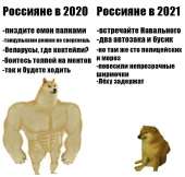16109033890310.png