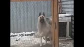 16086049760892.mp4