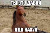 16104654731560.jpg