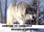 Вольк.jpg