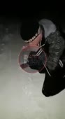 narkorazborki.mp4