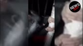 16087109456710.mp4