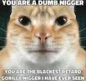 55AD6796-B40E-4B4E-8B18-A7930EBF89F7.png