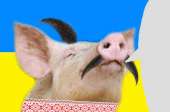 images.jpg