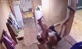 235.mp4