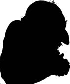 16122878335550.webm
