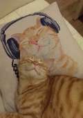 cats7LqENSFShqk.jpg