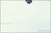 catstumblrmknht8Uvuw1qdlh1io1400.gif