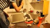 cats15158132161271.gif
