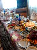 cats14402295386130-b-100437401.png