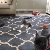 #4.mp4