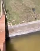 12.mp4