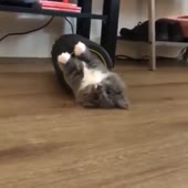 15.mp4