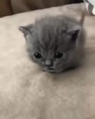 16.mp4