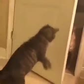20.mp4