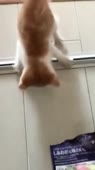 22.mp4