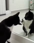 23.mp4
