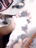 26.mp4