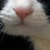 31.mp4