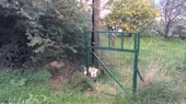 32.webm