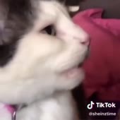 42.mp4
