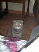 IMG202102222343531.jpg