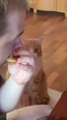 43.mp4