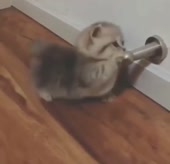 44.mp4