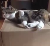 45.mp4
