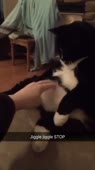 50.mp4
