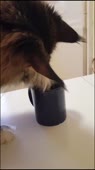 52.mp4