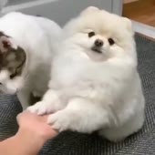 56.mp4