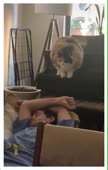 57.mp4