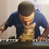 72.mp4
