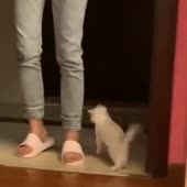 77.mp4