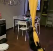 80.MP4