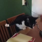 82.mp4