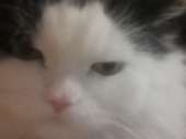 1614466314244.jpeg