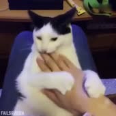 14807470432340.webm