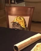 86.MP4