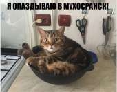 опоздун.png