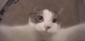 16132618863880.mp4