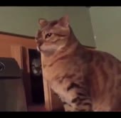 14481377183120.webm