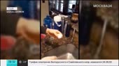 снег в техасе.mp4