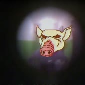 16137683435161.mp4