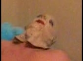 Waking Up Gary.mp4
