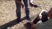 Banana Пить по страшному [xIQak34MN2Y].mp4